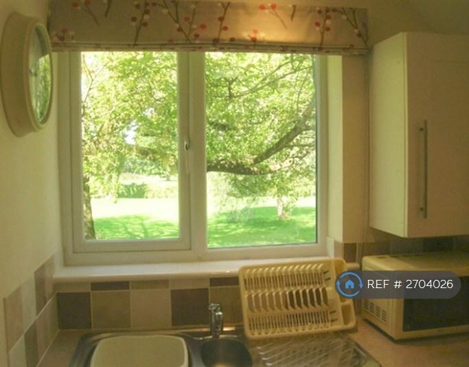 Kitchen View