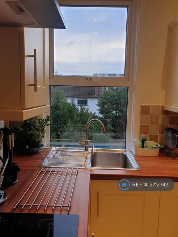 Kitchen Window