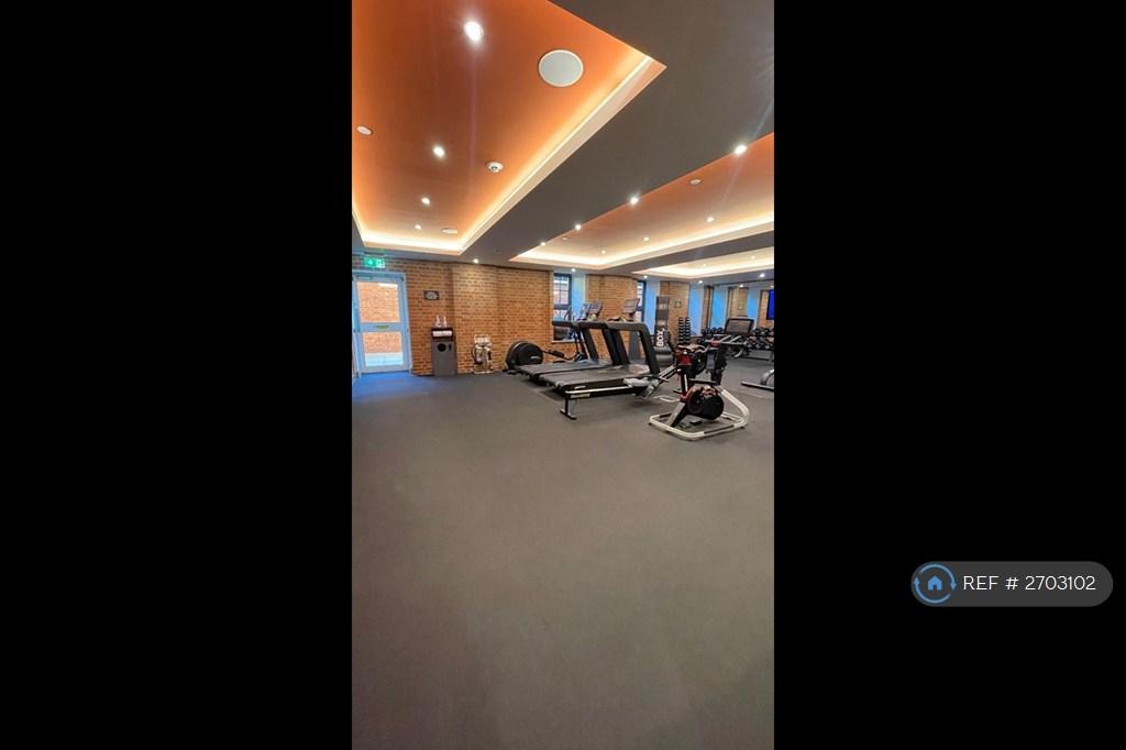 Free Gym