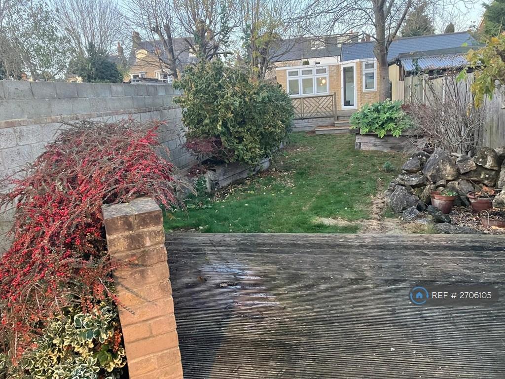 Back Garden