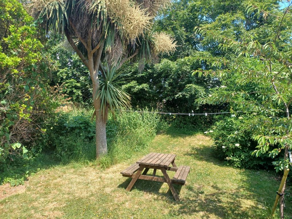 Fairview rear garden