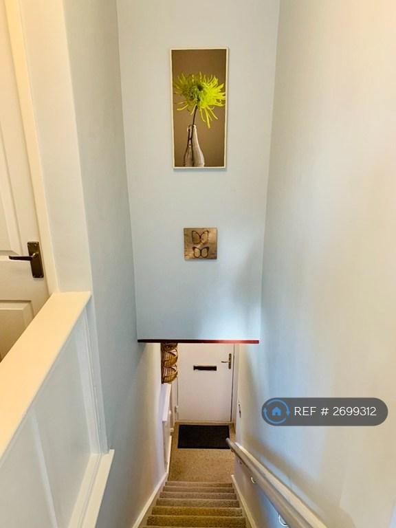 Stairs ,Landing &amp; 1st Bedroom On Left