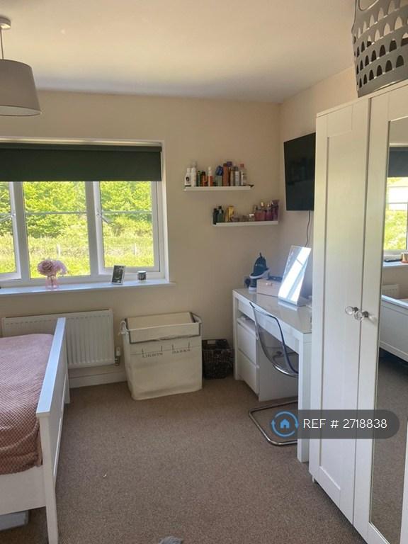 Back Bedroom