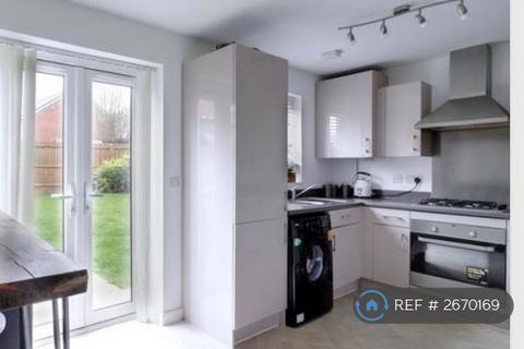 1 bedroom in a house share to rent, Bective Road, Northampton, NN2