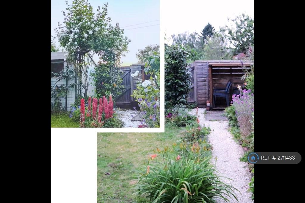 Garden 1