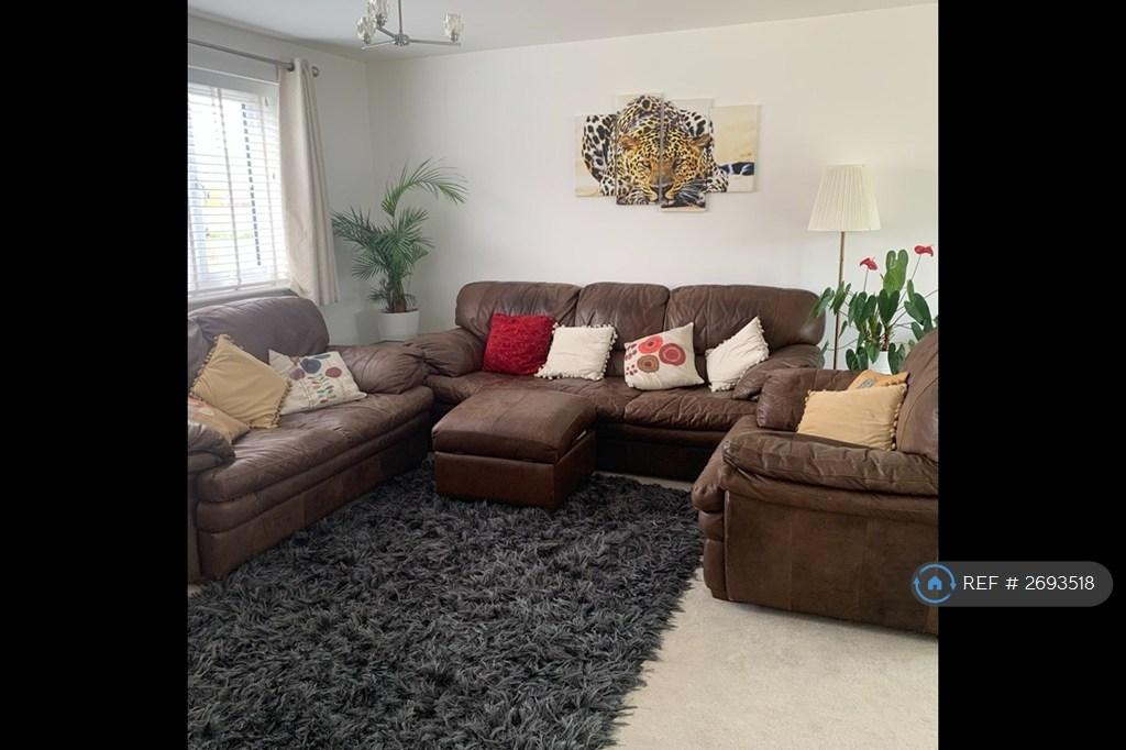 Shared Comfortable Leather Sofas