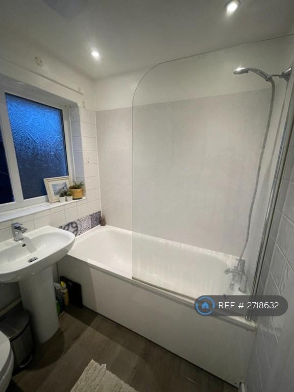 Main Bathroom (3)