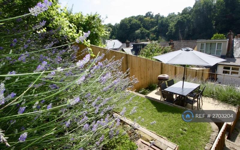 Garden In Summer
