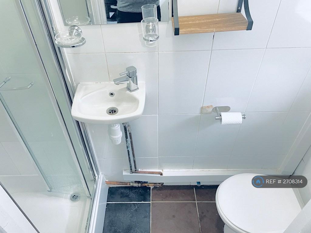 Own Bathroom (Wc, Sink & Shower)