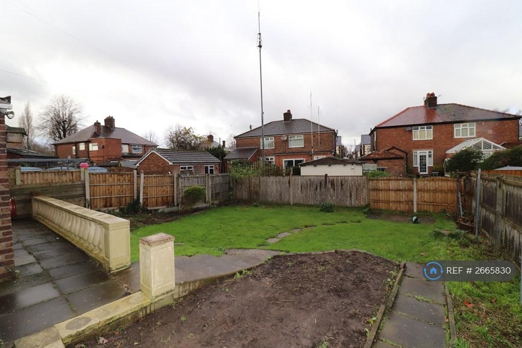 Back Garden