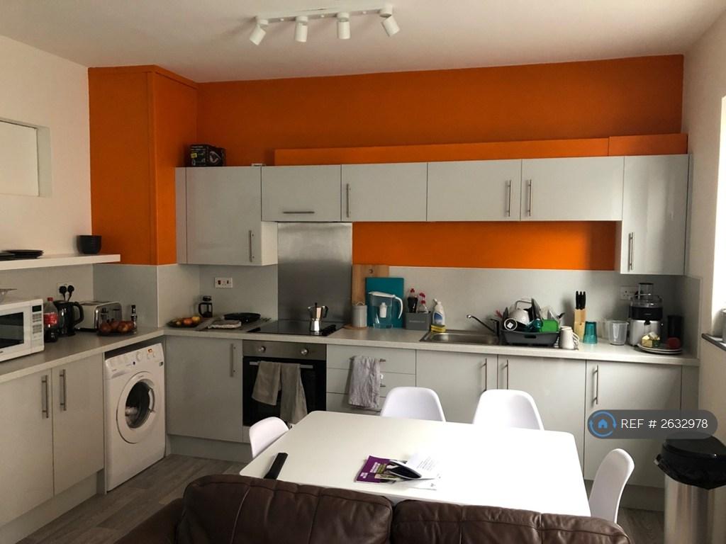 Living / Kitchen Area