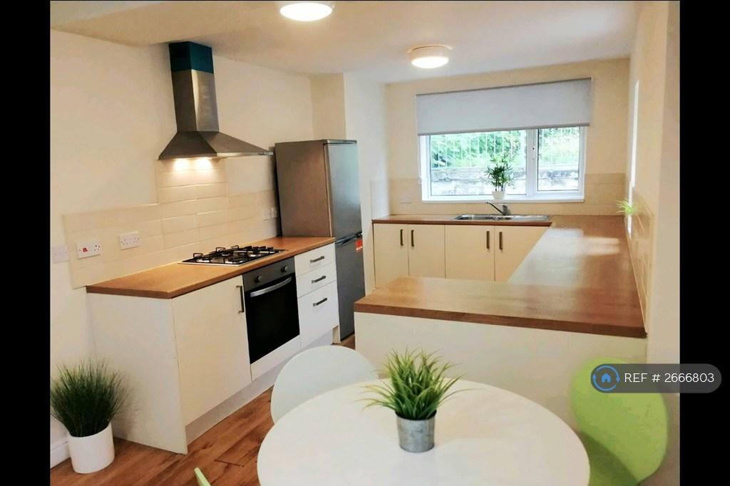 Bright Modern Kitchen