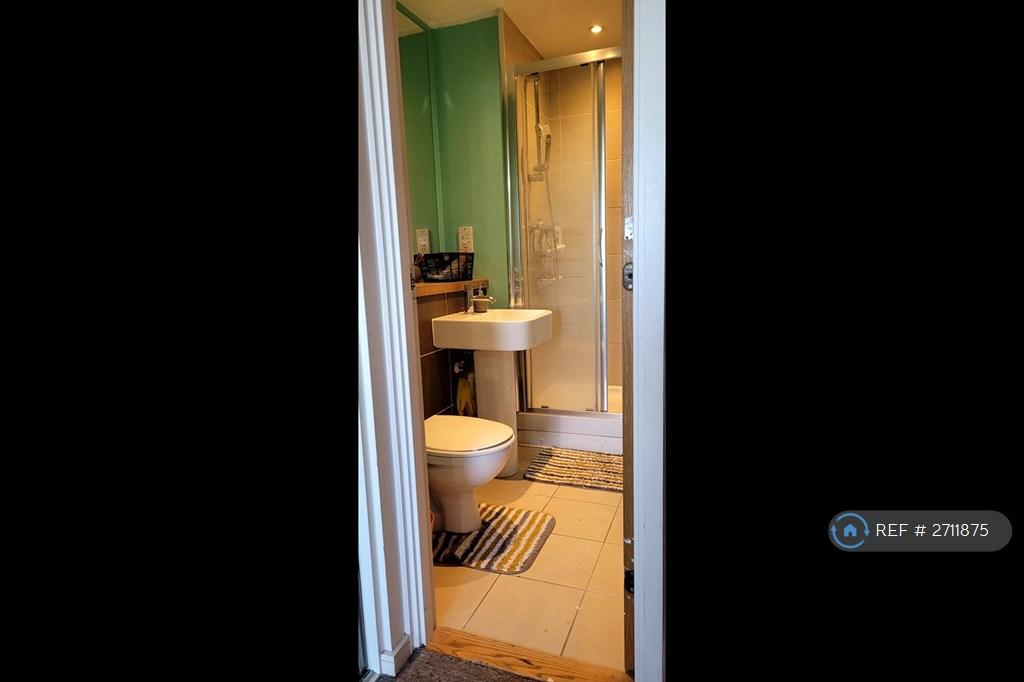 Ensuite Shower