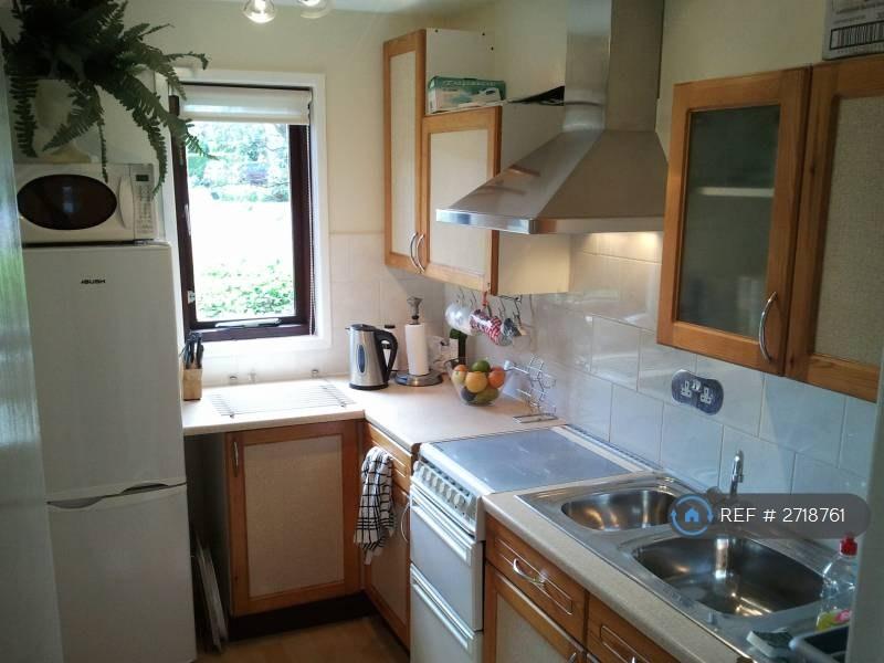 Kitchen Equipped With Appliances