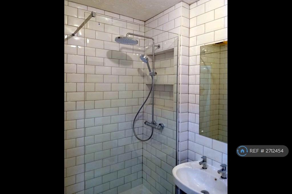 Bathroom (Walk-In Shower, Toilet, Sink)