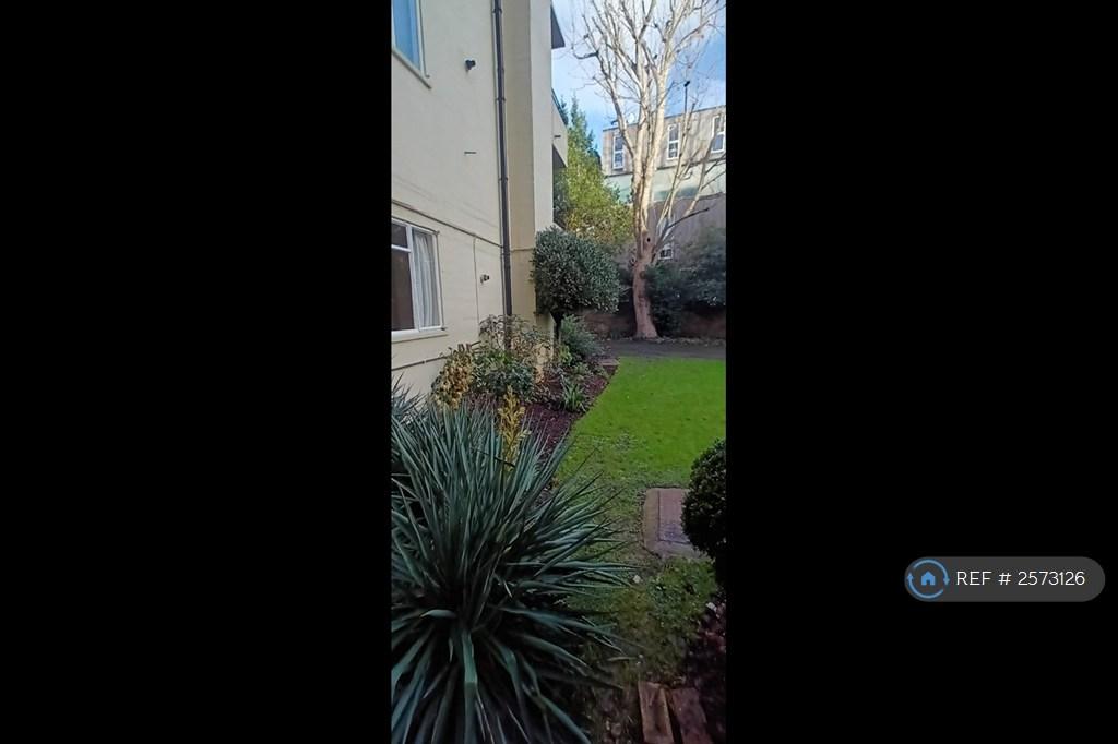 Garden 1