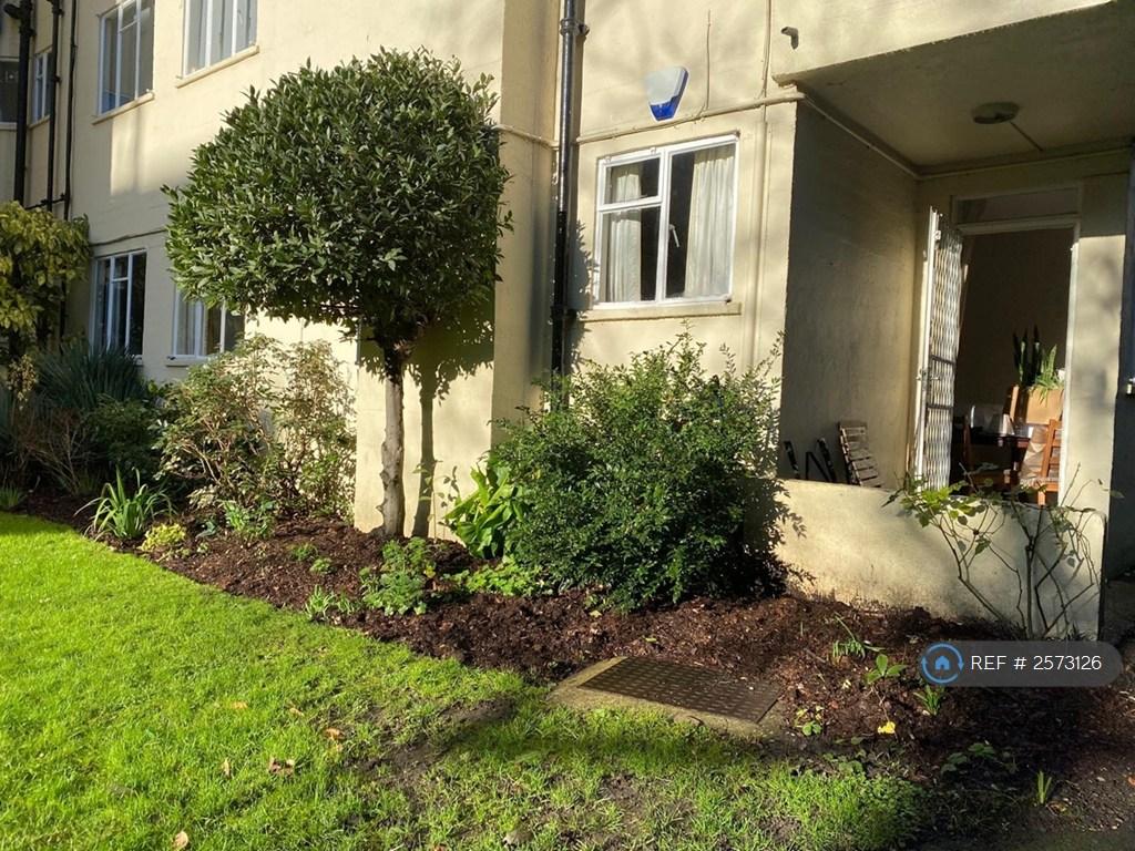 Garden 2