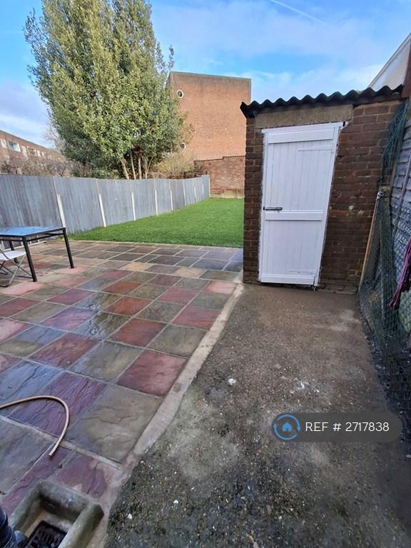 Back Garden 1
