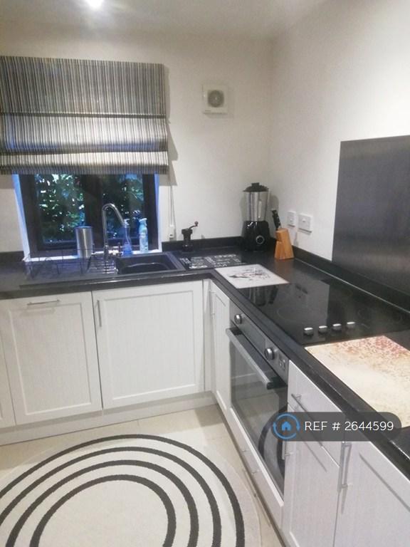 The Kitchen