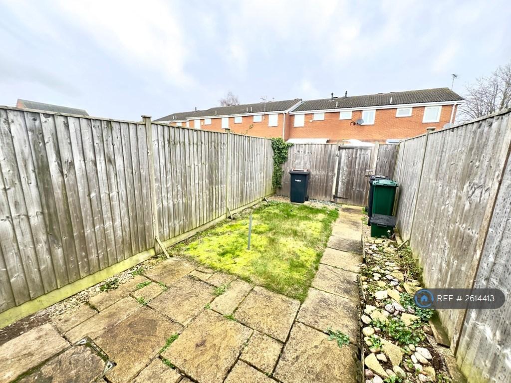Back Garden