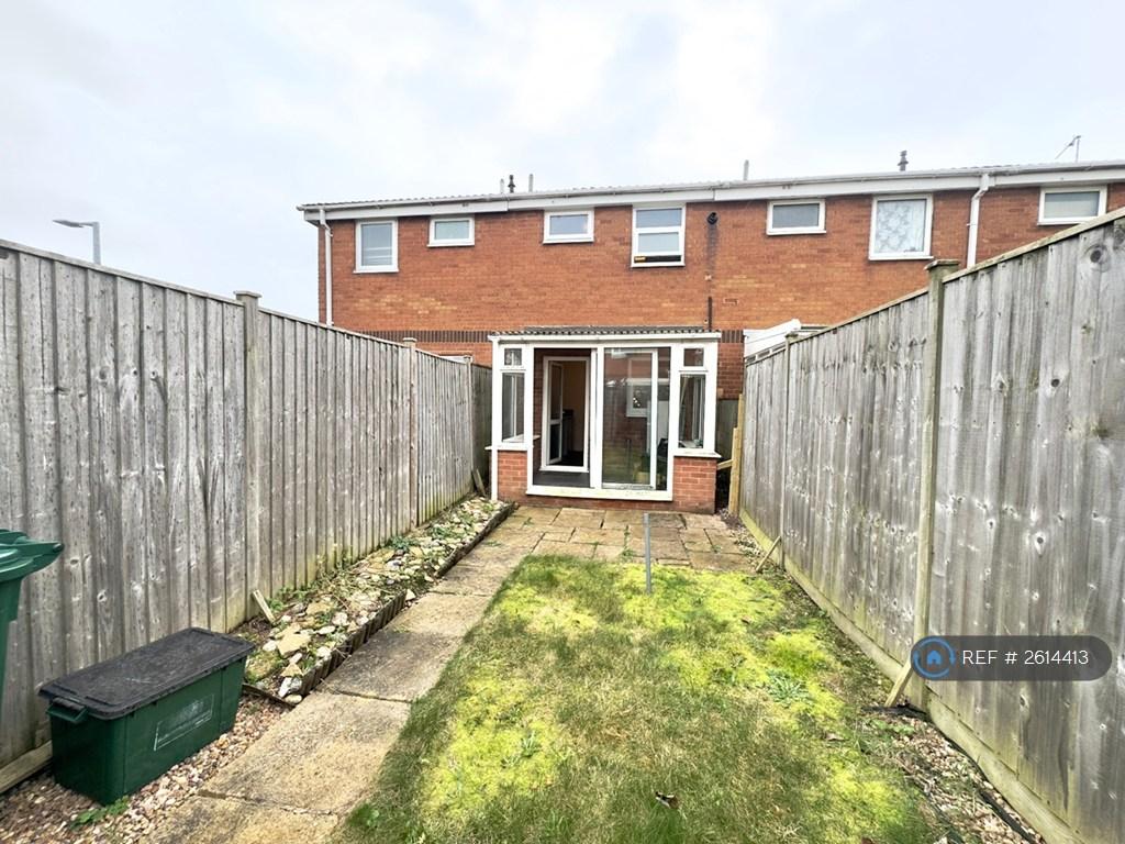 Back Garden