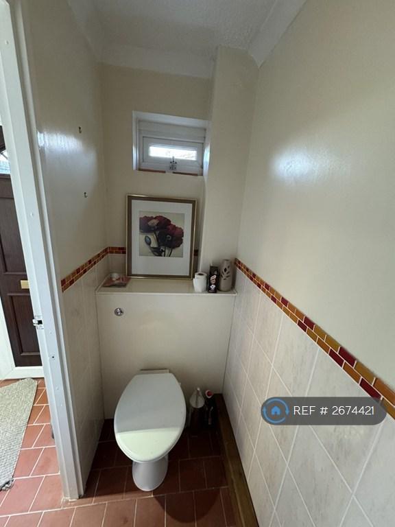Downstairs Toiler