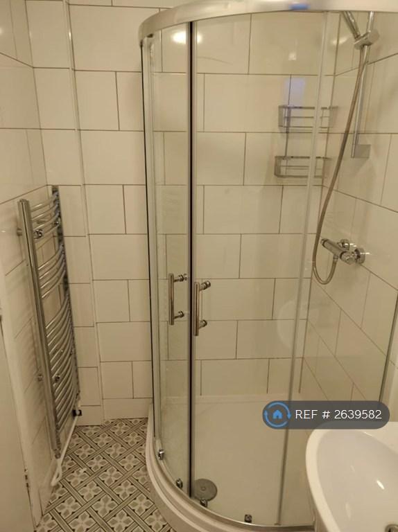 Bathroom (Downstairs)