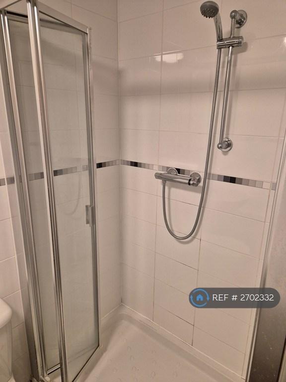 Master Bedroom En-Suite Double Shower