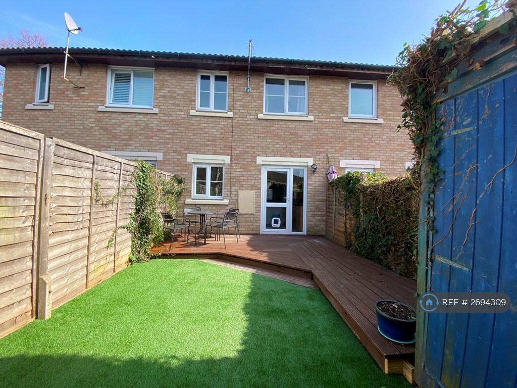 Southwest Facing Garden