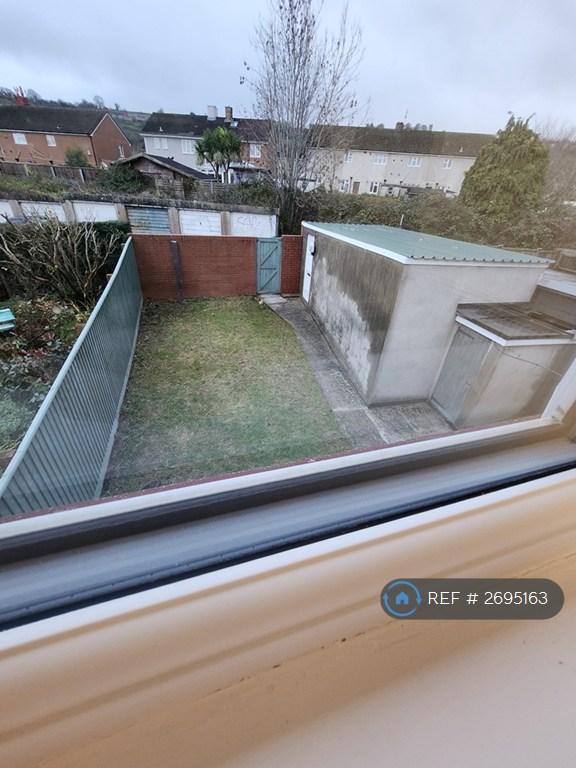 Back Garden