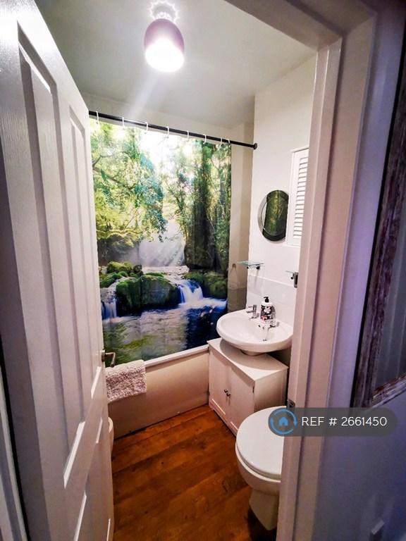 Electric Shower And Bathroom