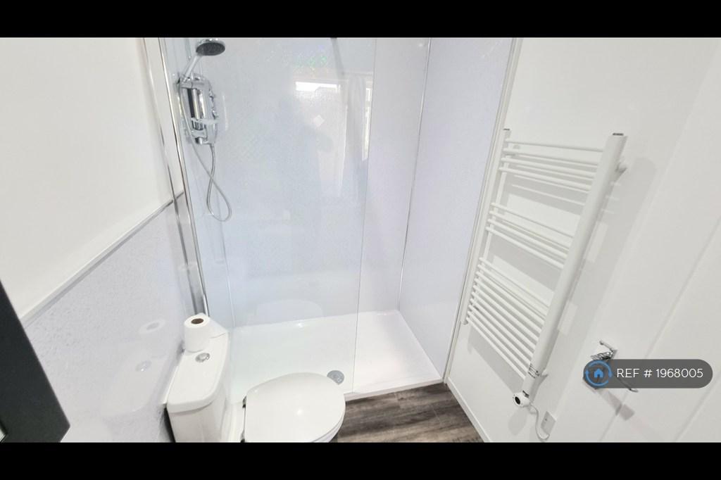 Large Walk-In Shower
