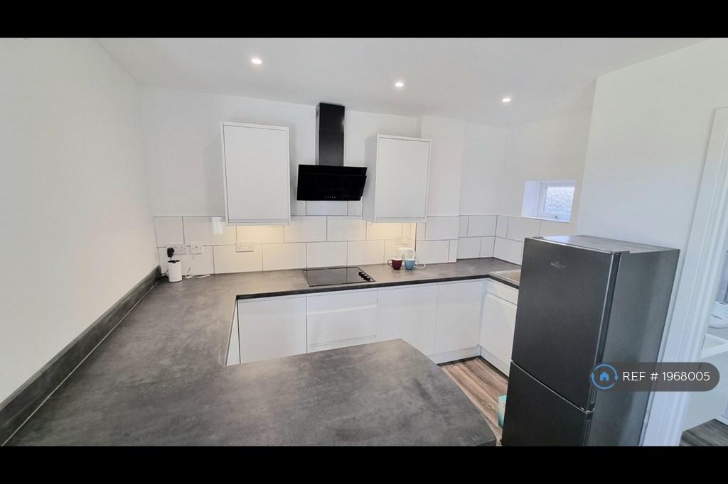 Modern Kitchen