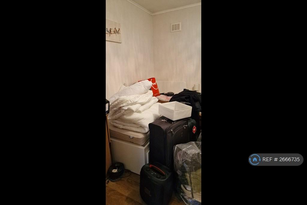 Back Bedroom