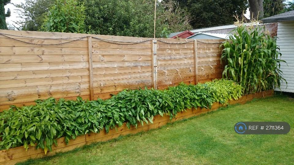 Garden Allotment Area