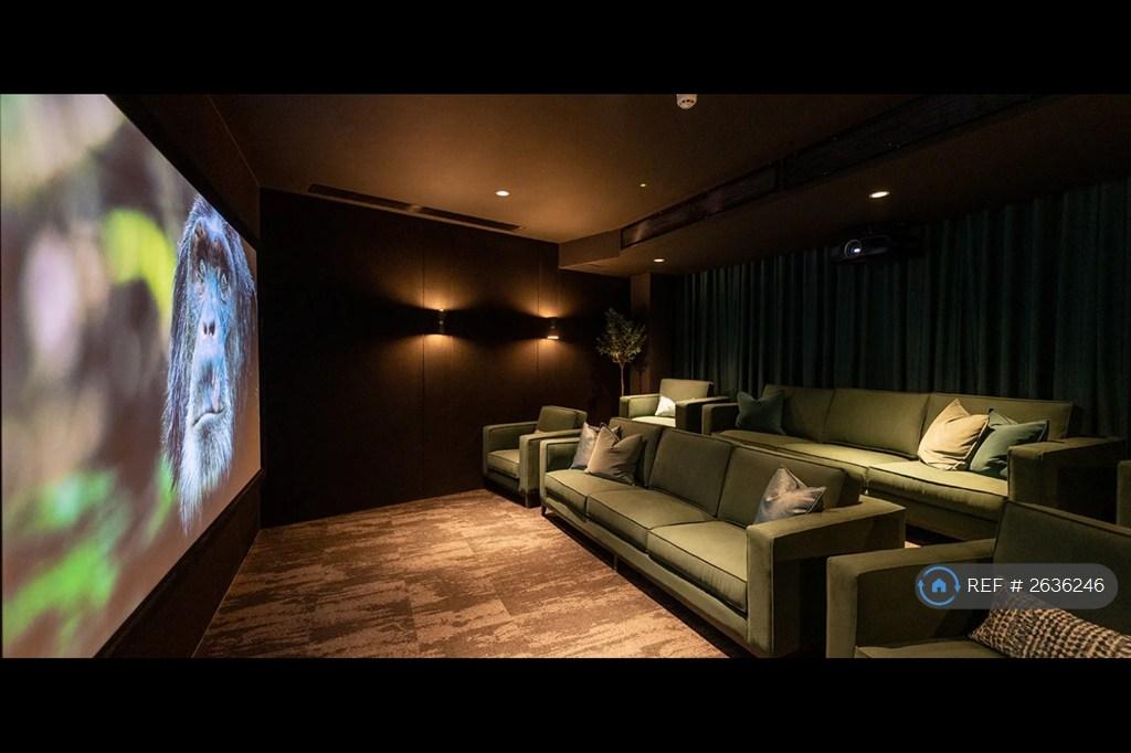 Cinema
