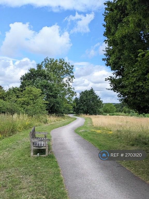 Chigwell Meadow