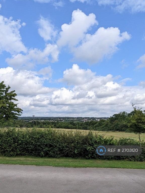 Chigwell Meadow