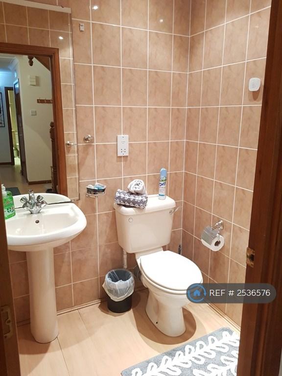 Common Bathroom