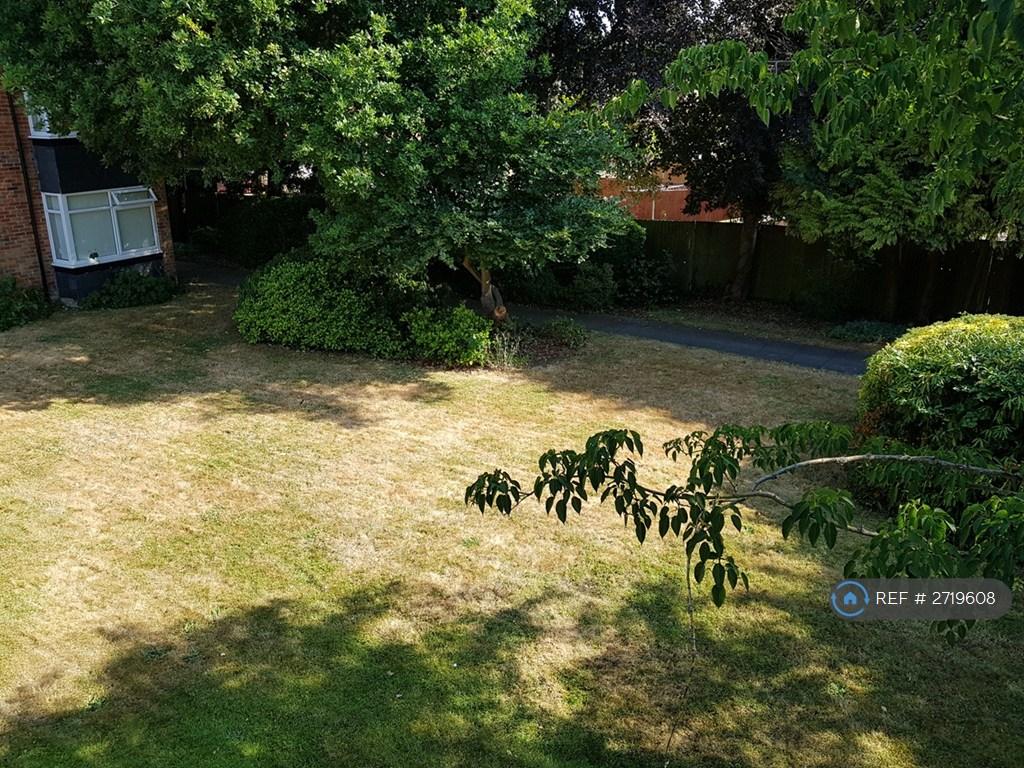 Communal Garden