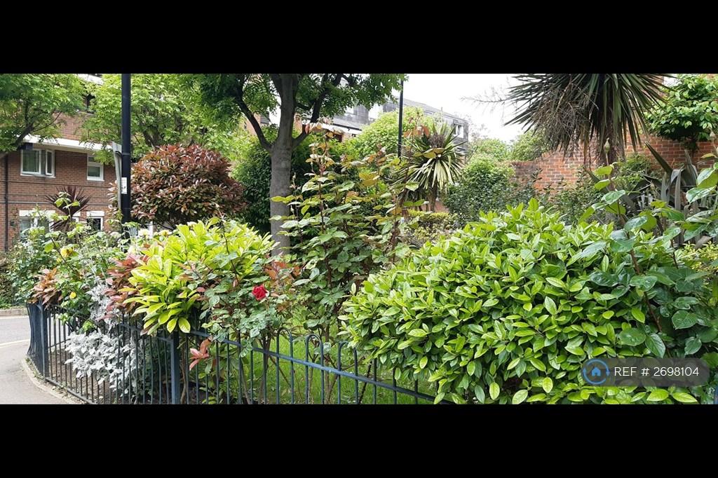 Communal Garden