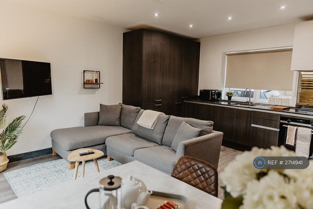 Open Plan Living Room And Kitchen