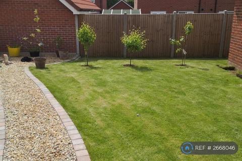 1 bedroom in a house share to rent, Burrows Close, Norwich, NR6