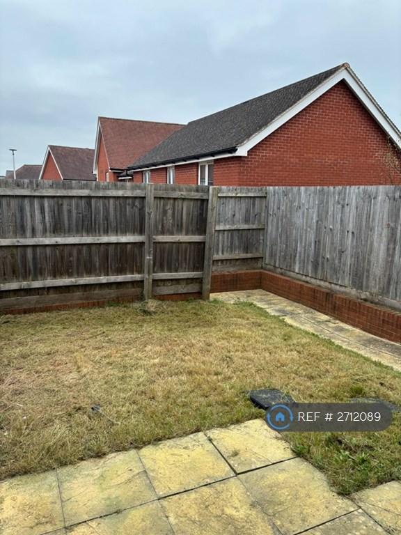 Back Garden
