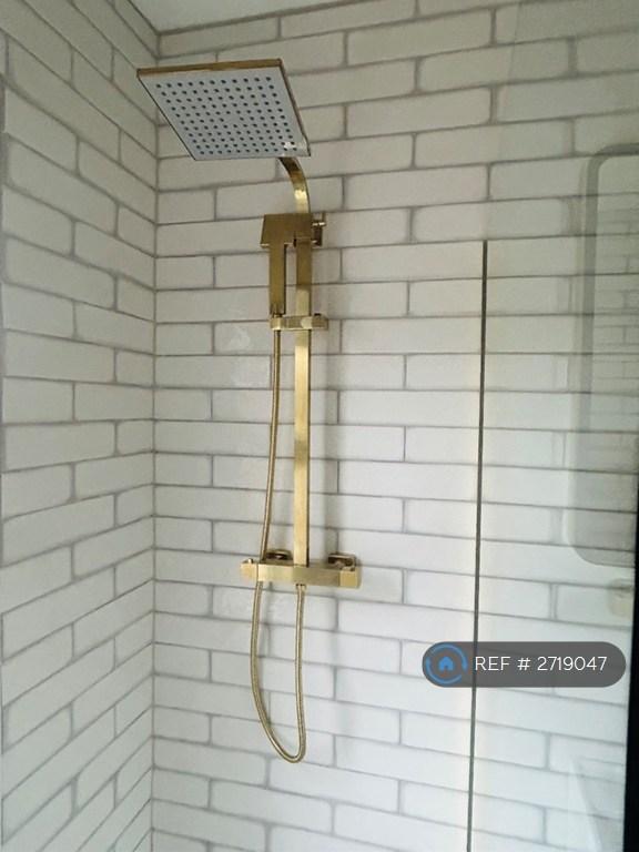 Gorgeous Brass Shower