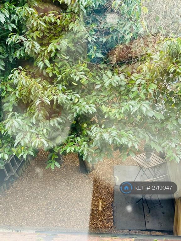 View From Kitchen Window To Your Garden