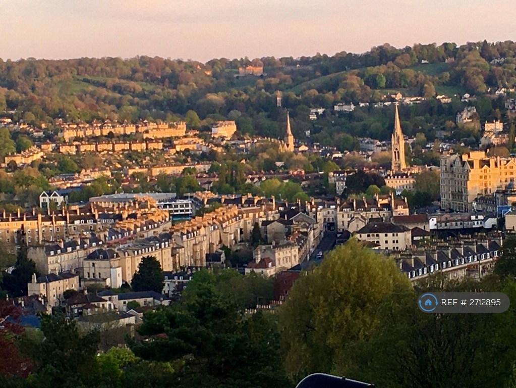 The City View