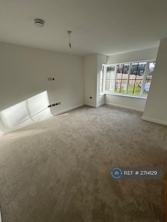 Tv Room