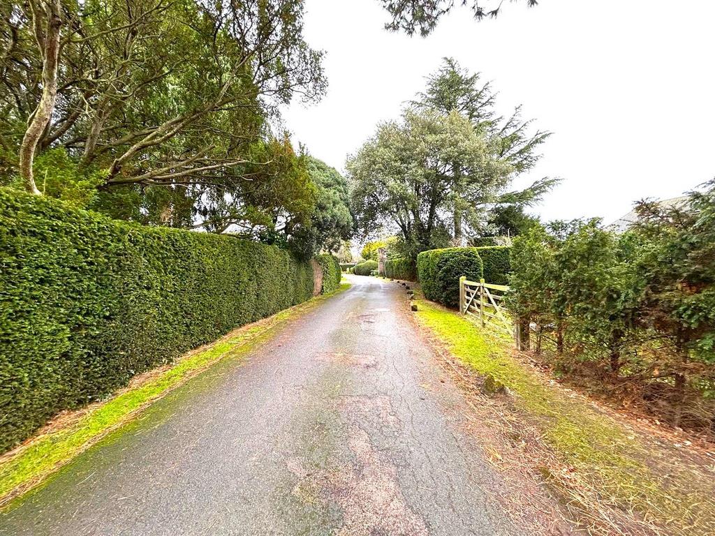 Lane 2.jpg