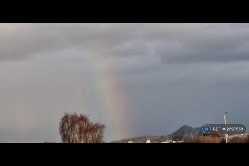 Rainbow!
